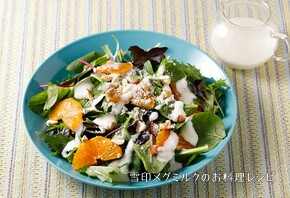 みかんのサラダ ヨーグルトドレッシング