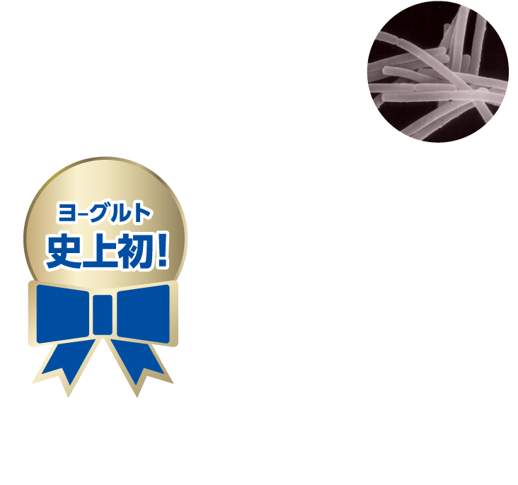 「乳酸菌ヘルベ」は、当社保有の約3,000の乳酸菌の中から見つけ出されました。ヨーグルトで初めて、「花粉やハウスダストによる目や鼻の不快感を緩和する」機能で機能性表示食品の届出が完了しました。