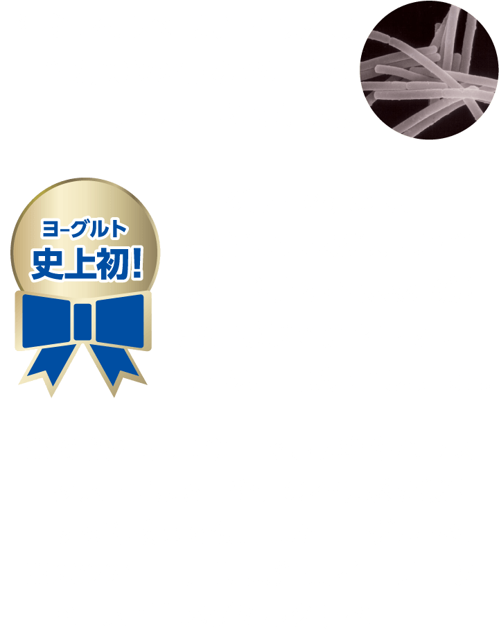 「乳酸菌ヘルベ」は、当社保有の約3,000の乳酸菌の中から見つけ出されました。ヨーグルトで初めて、「花粉やハウスダストによる目や鼻の不快感を緩和する」機能で機能性表示食品の届出が完了しました。