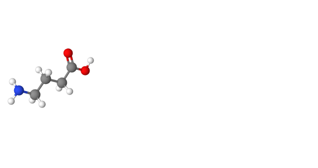 GABAは、自然界に幅広く存在するアミノ酸の一種で、抑制性の神経伝達物質として働くことが確認されています。